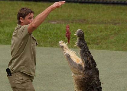 Un cocodrilo arranca el brazo a un cuidador de un zoo de Taiwán